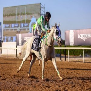 سباق كأس منصور بن زايد ينطلق الأحد بمضمار نادي الشارقة