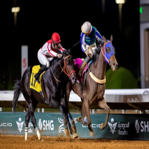 ميدان سباقات الخيل بنجران يُنظّم حفل سباقه الـ11 للموسم الحالي