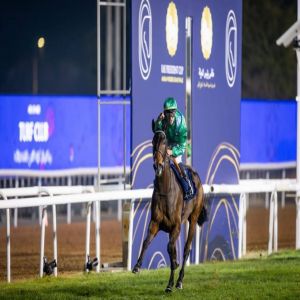 «الشاهين» يتوج بلقب كأس رئيس الدولة للخيول العربية