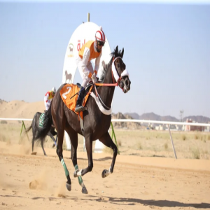 "ليلة العيد" تحقَّق كأس الحفل الـ11 بميدان سباقات الخيل بنجران