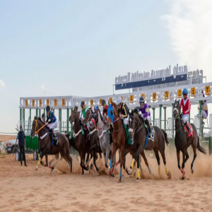 انطلاق موسم سباقات الفروسية وتتويج 20 فائزًا بالجوف