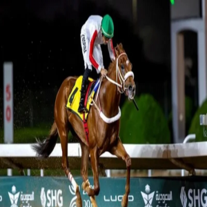 مواجهة مرتقبة بين أفضل أمهار السنتين في كأس الحرس الوطني