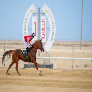 "فروسية الجبيل" تطلق أول سباقاتها للموسم الحالي