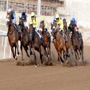 ثلاثية لـ«شادويل».. و«أطوال» يحلق بكأس طيران الإمارات في «جبل علي»