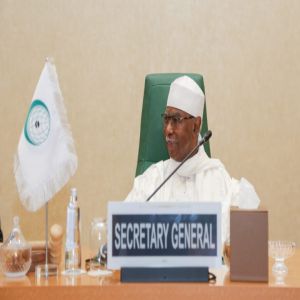 الأمين العام لـ”التعاون الإسلامي”: 234 مليون شخص في دول المنظمة يعانون من نقص الغذاء نتيجة الفقر والانكماش الاقتصادي