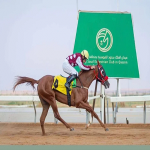 ميدان سباقات الخيل بنجران يُعلن نتائج حفل سباقه الـ 12