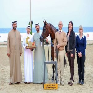 ختام ناجح لمهرجان الشارقة كلباء السابع للجواد العربي