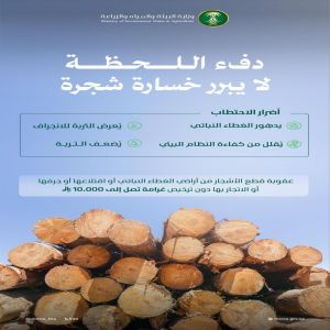 "البيئة" تدعو لحماية الغطاء النباتي والموارد الطبيعية لتعزيز التوازن البيئي في المملكة