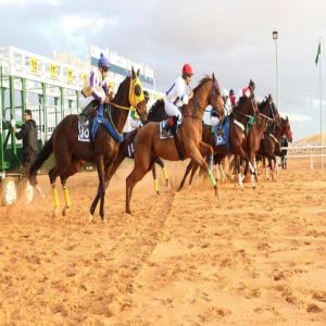 (23) فائزًا وجوائز بقيمة (41) ألف ريال في حفل السباقات الثاني بميدان الفروسية بالجوف