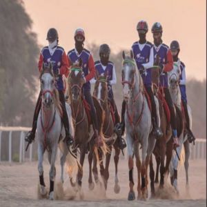 «الاسطبلات الخاصة» يدشن فعاليات كأس رئيس الدولة للقدرة في «بوذيب»