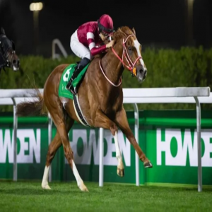 جوائز كأس نيوم "فئة 1" برعاية هاودن تقفز إلى 3 ملايين دولار أمريكي