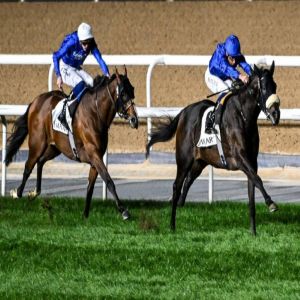 خيول جودلفين تتألق بثلاثية في الأمسية العالمية «فستيف فرايداي»