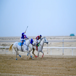"فروسية الجبيل" ينظم ثاني سباقاته للموسم الحالي