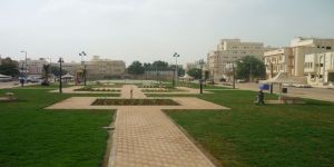 أمانة محافظة جدة تزيد في مساحتها الخضراء لأكثر من 17 مليون م2