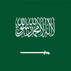 المملكة الأولى في منطقة الشرق الأوسط وشمال أفريقيا في مؤشر جاهزية الحكومات للذكاء الاصطناعي 2025