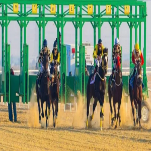 ميدان سباقات الخيل بنجران يُعلن نتائج حفل سباقه الـ13 للموسم الحالي