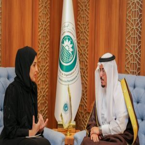 المدير التنفيذي للهيئة الدائمة المستقلة لحقوق الإنسان يلتقي عضو الهيئة رئيسة اللجنة الوطنية لحقوق الإنسان بقطر