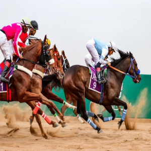 فروسية حائل تنظّم حفل سباقها الخامس