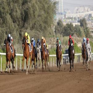 81 خيلاً في الحفل الخامس.. مضمار جبل علي يحتضن مهرجان سباقات رأس السنة