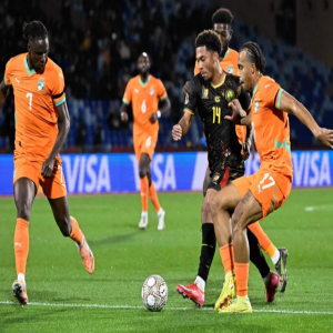 التعادل الإيجابي يحسم مواجهة ساحل العاج والكاميرون في كأس الأمم الإفريقية