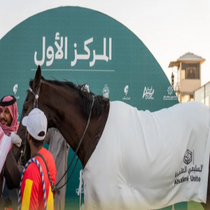 ميدان فروسية حائل ينظّم سباقه السادس لموسم 2025
