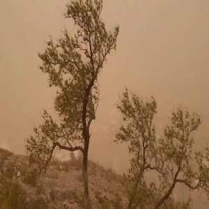 الأرصاد .. رياح مثيرة للأتربة تؤثر على مدى الرؤية في عدة مناطق