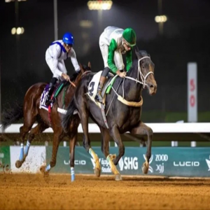 ميدان الملك عبدالعزيز للفروسية يشهد سباقات الأسبوع الثاني عشر