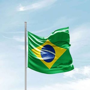 البرازيل: مقتل 11 سائحًا وإصابة 11 آخرين بحادث مروري