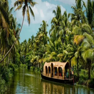 اكتشف كيرالا من الغابات إلى الشواطئ الساحرة