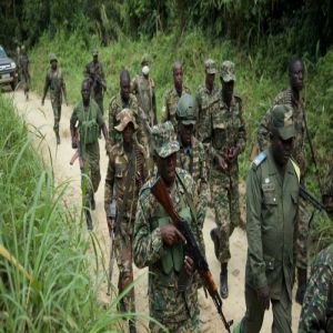 مقتل (15) شخصًا في هجوم مسلح شرق الكونغو الديمقراطية