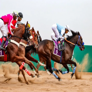 "الاثنين.. "فروسية حائل" ينظم حفل سباقه السابع