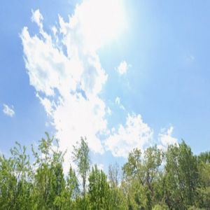 الأرصاد .. طقس مستقر وسحب رعدية ممطرة على 3 مناطق