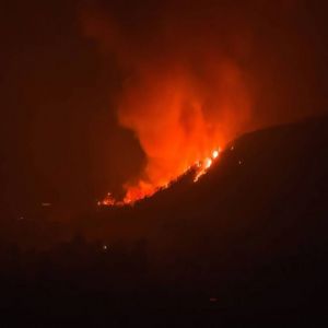 إعلان "حالة الكارثة" في أستراليا جراء حرائق الغابات