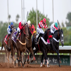 انطلاق النسخة الثانية من جائزة مؤسسة الملك عبدالله الإنسانية للخيل