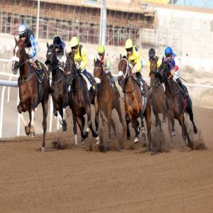 91 خيلاً في أمسية سباق الوصل على مضمار جبل علي