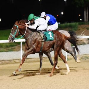 الإثارة تعود لمضمار نادي العين مجدداً في حفل سباقه السادس