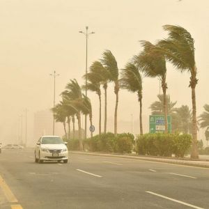 الأرصاد .. أمطار ورياح مثيرة للأتربة وضباب على هذه المناطق