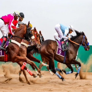 ميدان فروسية حائل يُنظم غدًا حفل سباقه الثامن