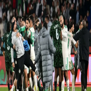 الكاف يفتح تحقيقاً في أحداث مباراتي المغرب مع الكاميرون والجزائر مع نيجيريا