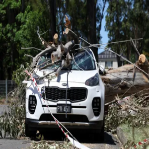 أستراليا: الآلاف بدون كهرباء بعد تعرض ولاية كوينزلاند لإعصار كوجي المداري
