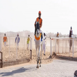 ميدان فروسية القريات ينظم حفل السباقات الخامس