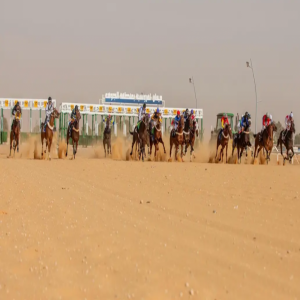 ميدان فروسية الجوف يختتم حفل السباقات السادس بتتويج 20 فائزًا