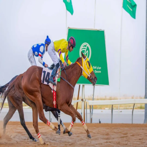 ميدان الملك سعود للفروسية بالقصيم يقيم حفله الحادي عشر