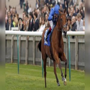 «دبي تريجر» تطارد لقب «كيب فيردي» في «ميدان»