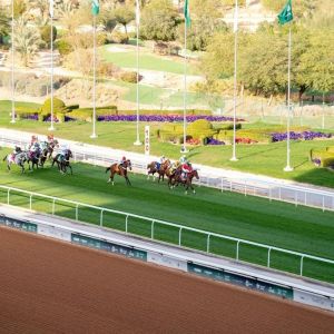 جائزة مؤسسة الملك عبدالله الإنسانية للخيل تختتم فعالياتها في الجنادرية