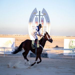 ميدان فروسية الجبيل يقيم سباق كأس فارس التعليم للموسم الحالي 1447هـ