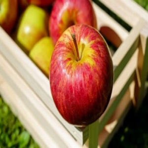 «تفاحة» تنهي حياة امرأة تركية