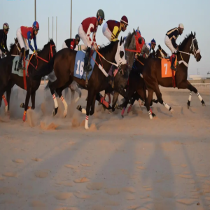 ميدان فروسية الأحساء يقيم الحفل الثاني عشر لسباقات الموسم 1447 هـ