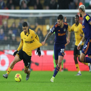 وولفرهامبتون يفرض تعادلًا سلبيًا أمام نيوكاسل في البريميرليج