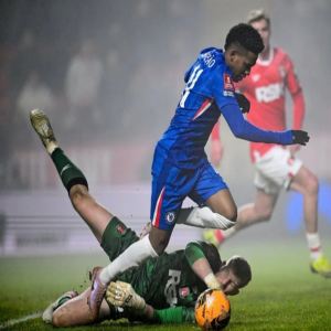 تشيلسي يتلقى دفعة قوية قبل مواجهة بافوس في دوري الأبطال